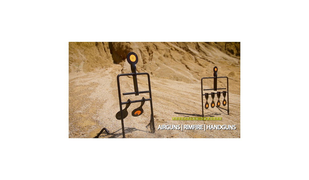 Rimfire Resetting Target
